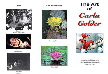 Carla-brochure-1