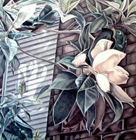 Magnolia