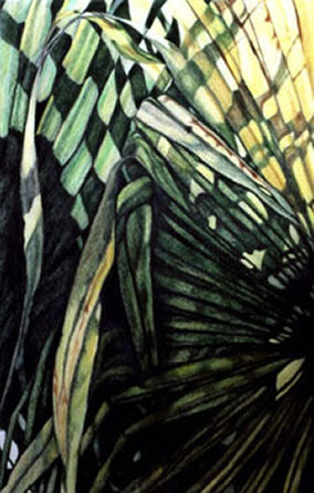 Palm