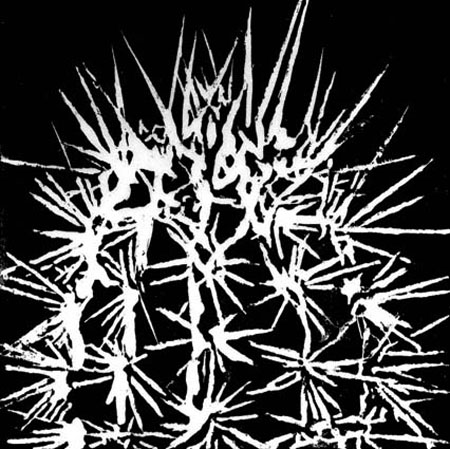 Succulent