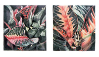 bali croton II