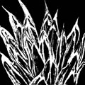 succulent XXXIII